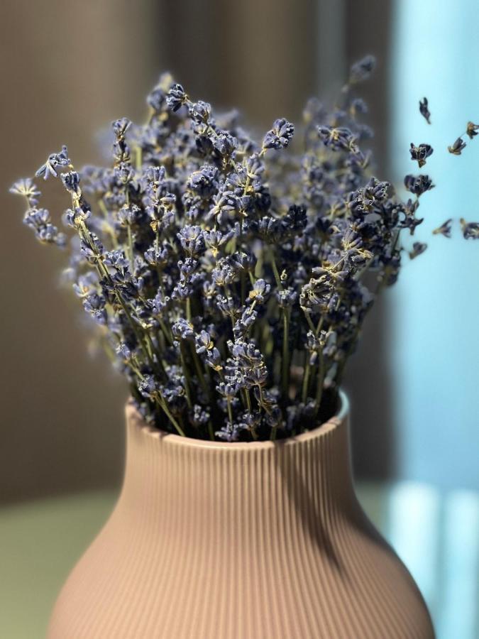 Jeny Boutique Apartment Târgu-Mureş Εξωτερικό φωτογραφία